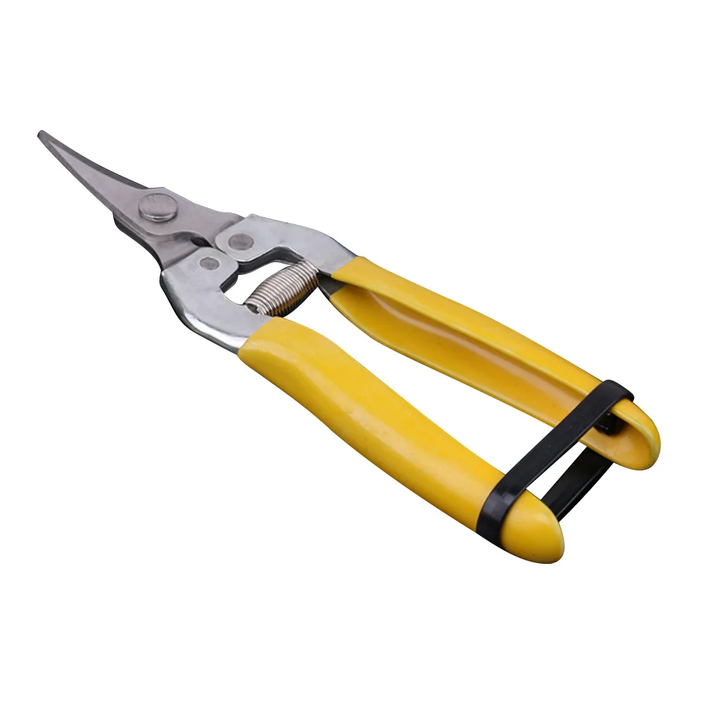 1pc Grass Flower Shears Secator Grafting pruner Hand Pruner Tool Pro Plant Pruning Scissors Garden Cutter Gardening Bonsai Tools
1pc Grass Flower Shears Secator Grafting pruner Hand Pruner Tool Pro Plant Pruning Scissors Garden Cutter Gardening Bonsai Tools