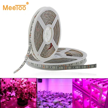 5m LED Grow Lights 5050 LED Strip tape DC12V Red Blue 3:1 4:1 5:1 60leds/m for Flower seeds indoor Greenhouse Hydroponic Plant
5m LED Grow Lights 5050 LED Strip tape DC12V Red Blue 3:1 4:1 5:1 60leds/m for Flower seeds indoor Greenhouse Hydroponic Plant