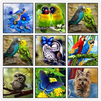 Diamond Painting Cartoon Animal Parrot Owl Bird 5D DIY Diamond Embroidery Set Rhinestone Mosaic Cross Stitch Gift
Diamond Painting Cartoon Animal Parrot Owl Bird 5D DIY Diamond Embroidery Set Rhinestone Mosaic Cross Stitch Gift