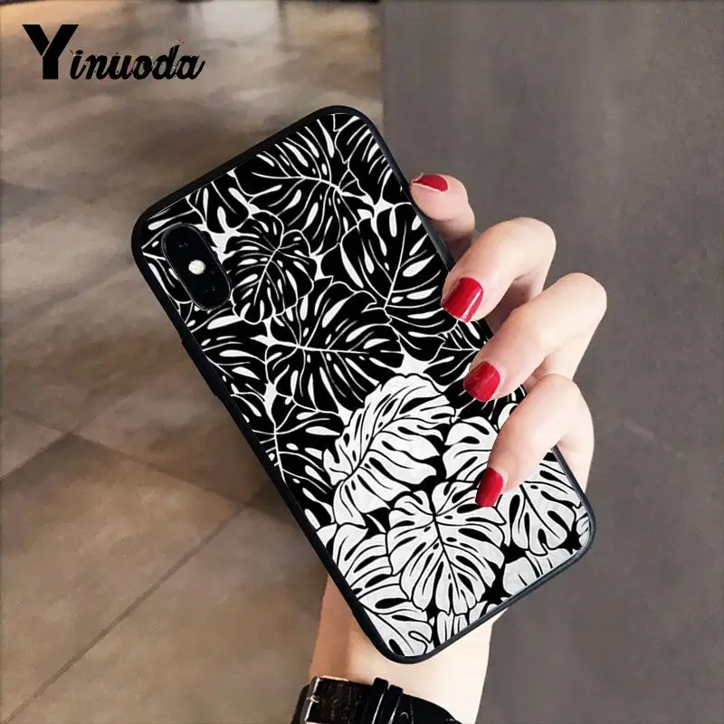 Black white palm leaves palm trees