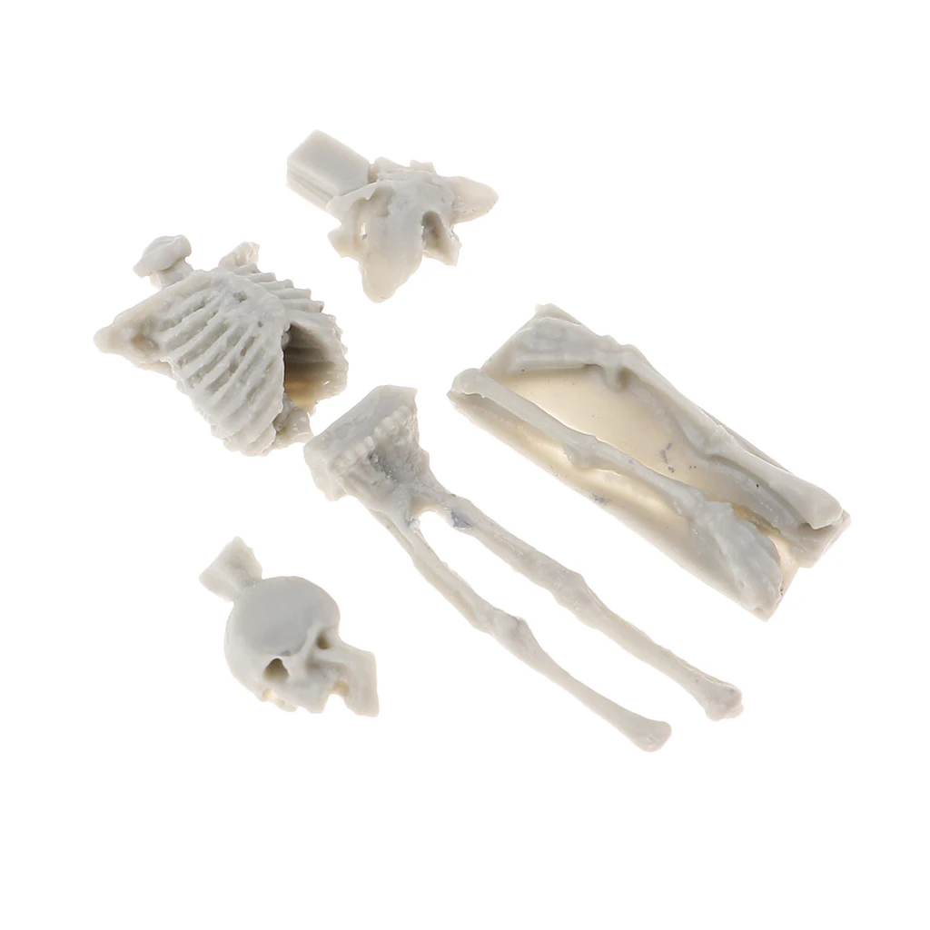 4Pcs 1:35 Scale Unpainted Unassemble Resin Skull Skeleton Model for Sand Table Armor Landcsape Diorama Building Toys