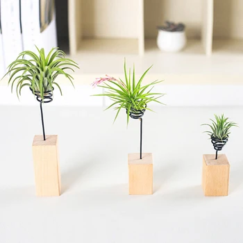Air pineapple base wood bracket flower pot flower stand micro landscape accessories iron wire
Air pineapple base wood bracket flower pot flower stand micro landscape accessories iron wire