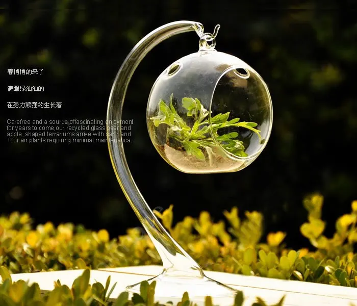 New Glass Flower Vase Hydroponic Terrarium Bottle Candlestick - Hanging Ball