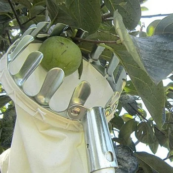 Pruning shears New Garden Tools Convenient Horticultural Fruit Picker Gardening Apple Peach Picking Tools
Pruning shears New Garden Tools Convenient Horticultural Fruit Picker Gardening Apple Peach Picking Tools