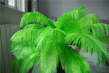 Free Shipping 160 purple 160 fusha 150 lime Ostrich Feather Plumes 12-14inch for Wedding Decoraction Centerpieces
Free Shipping 160 purple 160 fusha 150 lime Ostrich Feather Plumes 12-14inch for Wedding Decoraction Centerpieces