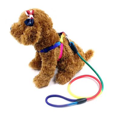 Colorful Rainbow Pet Dog Collar Harness Leash Soft Walking Harness Lead Colorful and Durable Traction Rope Nylon
Colorful Rainbow Pet Dog Collar Harness Leash Soft Walking Harness Lead Colorful and Durable Traction Rope Nylon