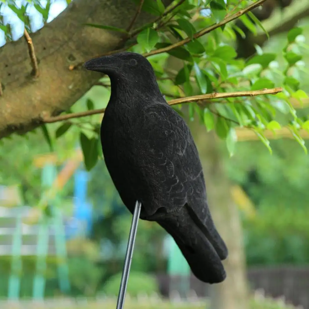 Flocking Crow Plastic Hunting Simulation Crow Imitation Bait Wholesale Black Bird Scare Bird Tool
Flocking Crow Plastic Hunting Simulation Crow Imitation Bait Wholesale Black Bird Scare Bird Tool