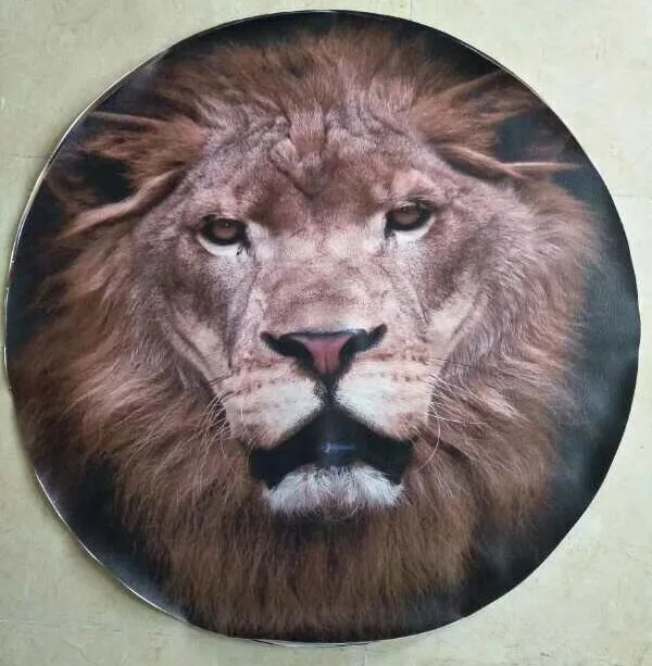 16"Inch 4x4 Spare Wheel Cover PVC Leather Spare Tire Cover for Trailer RV SUV Truck Tough Tire Wheel Soft Cover
16"Inch 4x4 Spare Wheel Cover PVC Leather Spare Tire Cover for Trailer RV SUV Truck Tough Tire Wheel Soft Cover