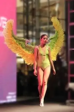 Fashion popular and fashion model catwalk stage show/auto exhibition show super large size feather angel wing more size choose
Fashion popular and fashion model catwalk stage show/auto exhibition show super large size feather angel wing more size choose