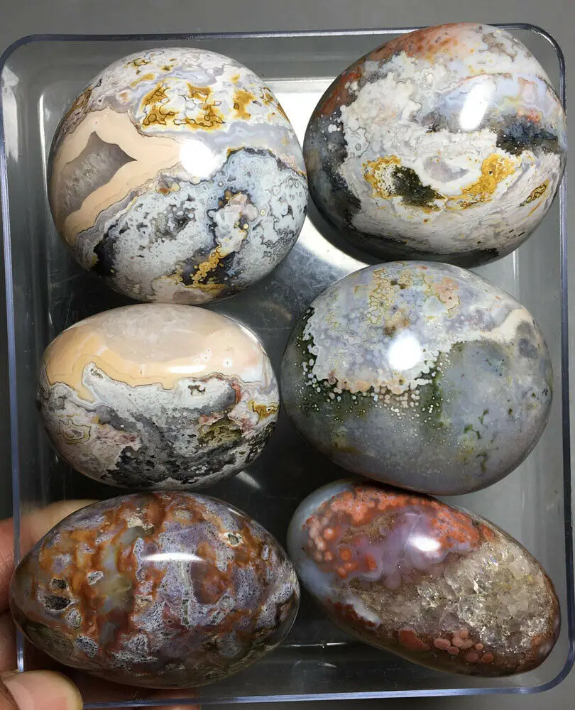 600g 6pcs Raw NATURAL OCEAN JASPER QUARTZ CRYSTAL HEALING stones crystal