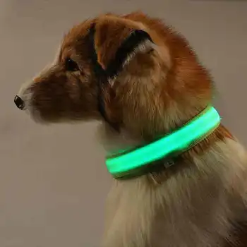 2Pcs Pet Neck Belt Colorful USB Rechargeable Adjustable Flashing Safety Nylon LED Dog Collar Pet Neck Belt Electric LED for Pet
2Pcs Pet Neck Belt Colorful USB Rechargeable Adjustable Flashing Safety Nylon LED Dog Collar Pet Neck Belt Electric LED for Pet