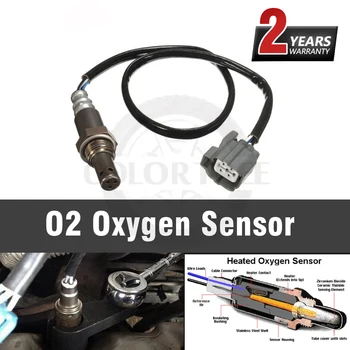 Auto Parts Upstream Oxygen Sensors For Subaru Baja 2004-2006 Forester 2004 Impreza 2003-2004 Legacy 2003-2004 Outback 2003-2004
Auto Parts Upstream Oxygen Sensors For Subaru Baja 2004-2006 Forester 2004 Impreza 2003-2004 Legacy 2003-2004 Outback 2003-2004