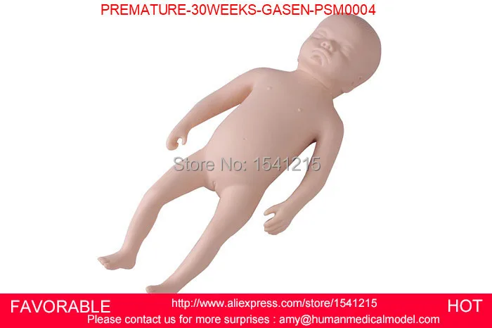 PREMATURE MODEL PREMATURE INFANT SIMULATOR PREMATURE BABY PRETERM CARE MODEL 30WEEKS PRETERM BIRTH MODEL -GASEN-PSM0004
PREMATURE MODEL PREMATURE INFANT SIMULATOR PREMATURE BABY PRETERM CARE MODEL 30WEEKS PRETERM BIRTH MODEL -GASEN-PSM0004