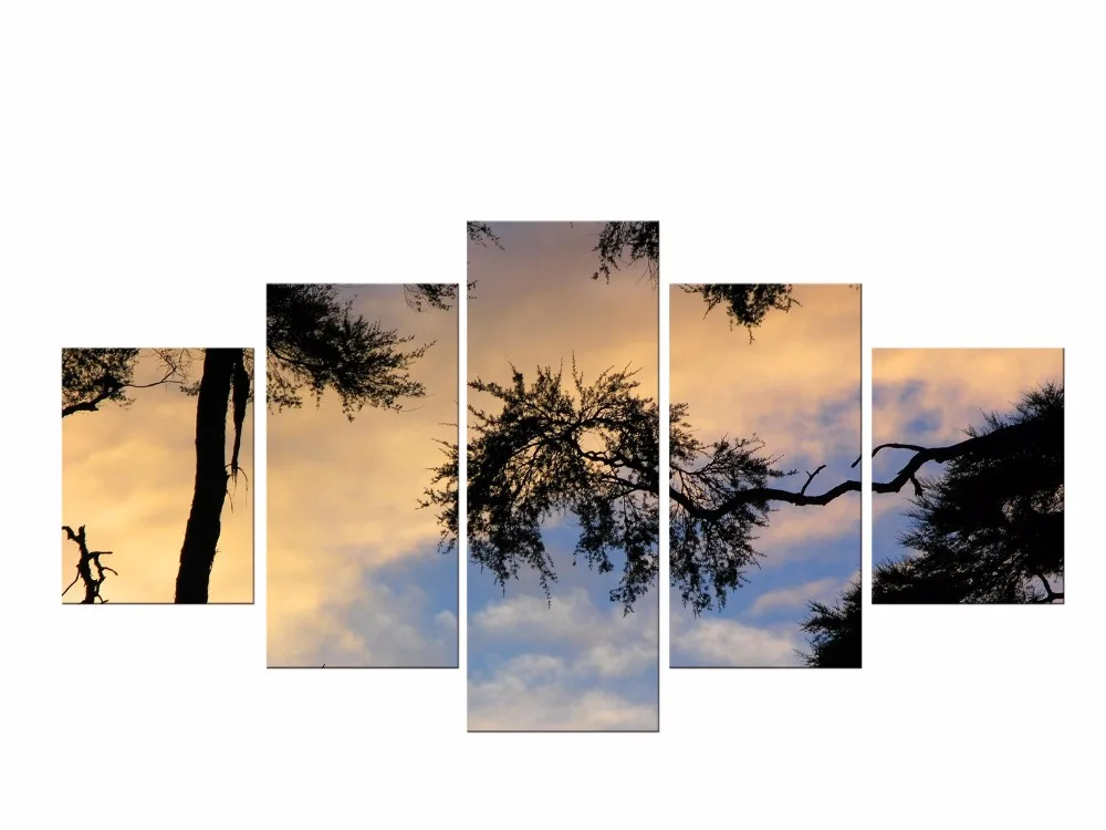 5 Pieces Free Shipping painting HD Print Sunset tree picture decoration wall pictures for living room oil paintings Framed
5 Pieces Free Shipping painting HD Print Sunset tree picture decoration wall pictures for living room oil paintings Framed