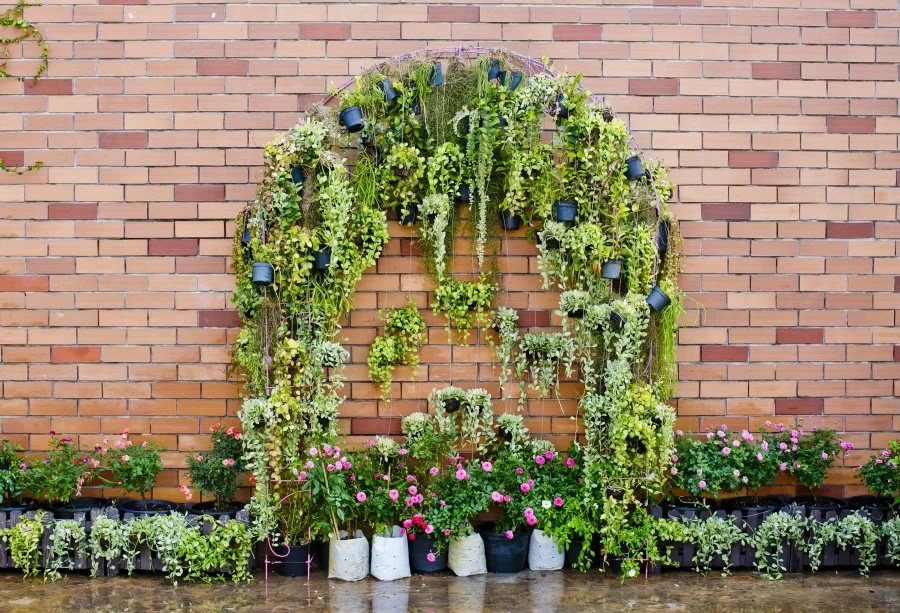 Laeacco Spring Potted Flower Tassel Arch Door Brick Wall Photo Backgrounds Customized Photography Backdrops For Photo Studio
Laeacco Spring Potted Flower Tassel Arch Door Brick Wall Photo Backgrounds Customized Photography Backdrops For Photo Studio