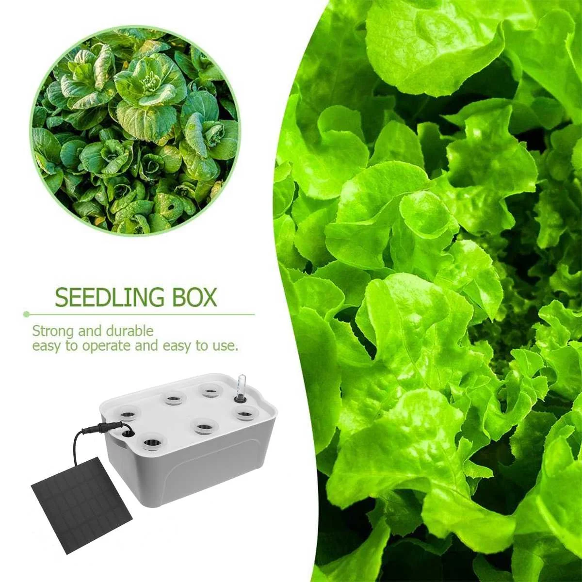 Solar power/Charge Hydroponic System Garden Plant Vegetable Pots Soilless Planters 6 Holes Growing Box Equipment Nursery Pots
Solar power/Charge Hydroponic System Garden Plant Vegetable Pots Soilless Planters 6 Holes Growing Box Equipment Nursery Pots