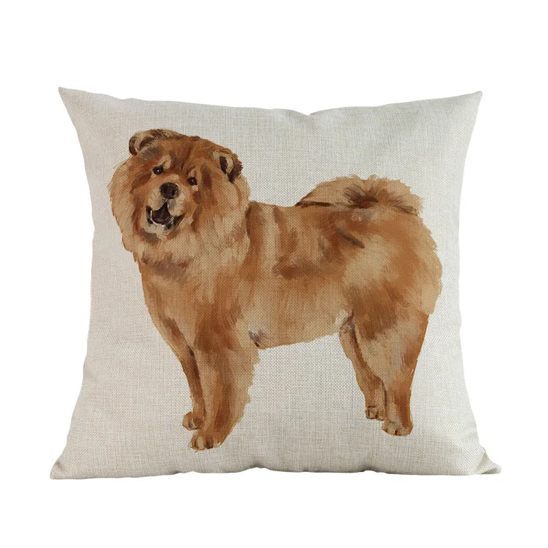 chow-chow