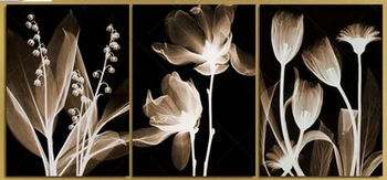 3pcs/set 5d diamond painting Full,diy Diamond Embroidery,Abstract Flower,3d picture,image,Stitch Cross,Diamond Mosaic,home decor
3pcs/set 5d diamond painting Full,diy Diamond Embroidery,Abstract Flower,3d picture,image,Stitch Cross,Diamond Mosaic,home decor