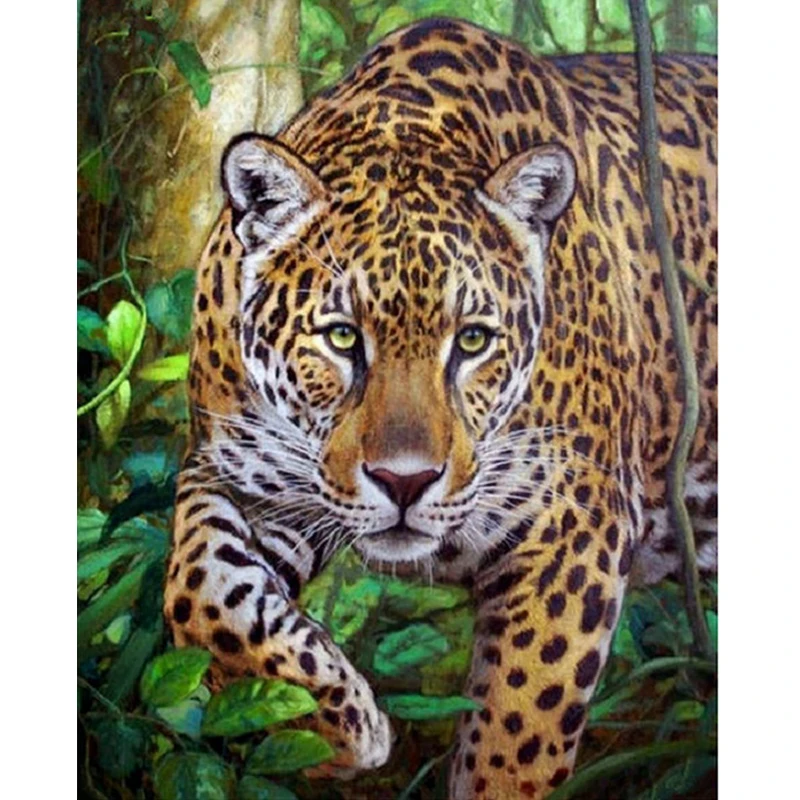 Full Square Diamond 5D DIY Diamond Painting " Leopard" 3D Embroidery Cross Stitch Rhinestone Mosaic Painting Decor
Full Square Diamond 5D DIY Diamond Painting " Leopard" 3D Embroidery Cross Stitch Rhinestone Mosaic Painting Decor