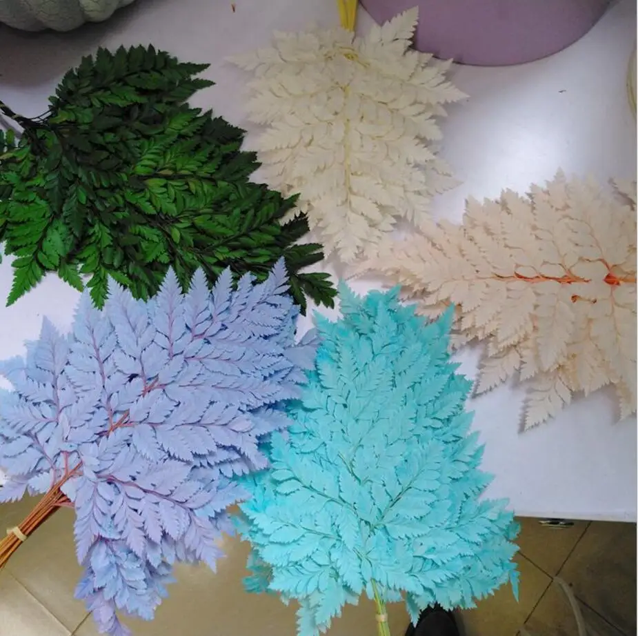 10pcs 25-30cm Length Preserved Wormwood Branch For Flower Craft Material Accessory Decoration Flower Arranging DIY 5 Colors Pick
10pcs 25-30cm Length Preserved Wormwood Branch For Flower Craft Material Accessory Decoration Flower Arranging DIY 5 Colors Pick