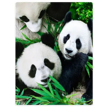 HommomH Blanket Throw Comfort Warm Soft Plush Throw For Sofa Cute Panda Family Bamboo Forest Green
HommomH Blanket Throw Comfort Warm Soft Plush Throw For Sofa Cute Panda Family Bamboo Forest Green