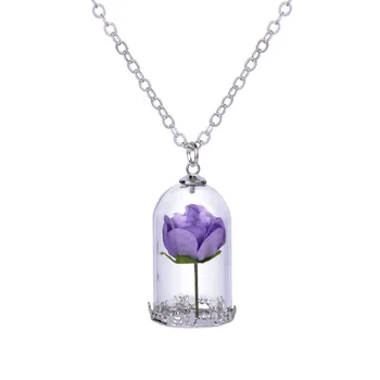 Wholesale 12pc Classical Crystal Glass Vial Necklaces Pendants Dried Rose Flower Jewelry For Women Mum Mother's Day gifts
Wholesale 12pc Classical Crystal Glass Vial Necklaces Pendants Dried Rose Flower Jewelry For Women Mum Mother's Day gifts