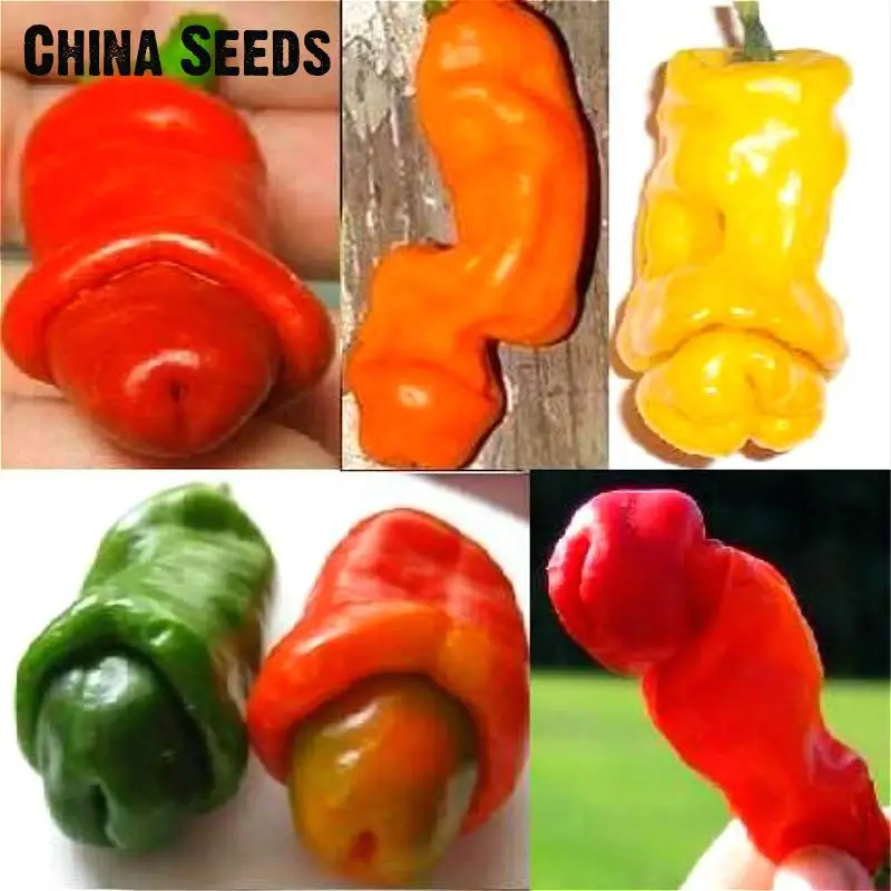 Garden Plants Free Shipping Peter Pepper Bonsai Red Hot Chili Peppers 100 Grain / Pack Vegetable Bonsai Christmas Magic Gift Bon
Garden Plants Free Shipping Peter Pepper Bonsai Red Hot Chili Peppers 100 Grain / Pack Vegetable Bonsai Christmas Magic Gift Bon