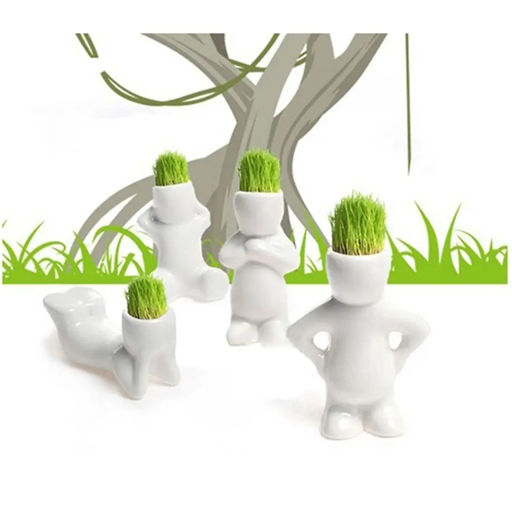 DIY Mini Novel Bonsai Grass Doll Hair White Lazy Man Plant For Garden Planting Bonsais Gift Home Decoration 4 Shape Choose
DIY Mini Novel Bonsai Grass Doll Hair White Lazy Man Plant For Garden Planting Bonsais Gift Home Decoration 4 Shape Choose