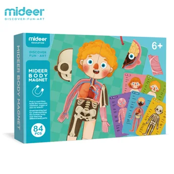 Mideer 3D Magnetic Human Body Model Children's Educational Toys Human Cognitive Magnetic Puzzle
Mideer 3D Magnetic Human Body Model Children's Educational Toys Human Cognitive Magnetic Puzzle
