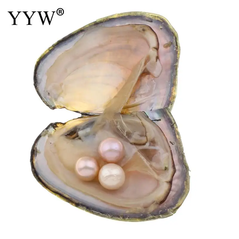 YYW Jewelry Big Size 11-12mm Potato Near Round Pearl Beads Freshwater Cultured Love Wish Shell Oyster Vacuum-packed Pearl Oyster
YYW Jewelry Big Size 11-12mm Potato Near Round Pearl Beads Freshwater Cultured Love Wish Shell Oyster Vacuum-packed Pearl Oyster