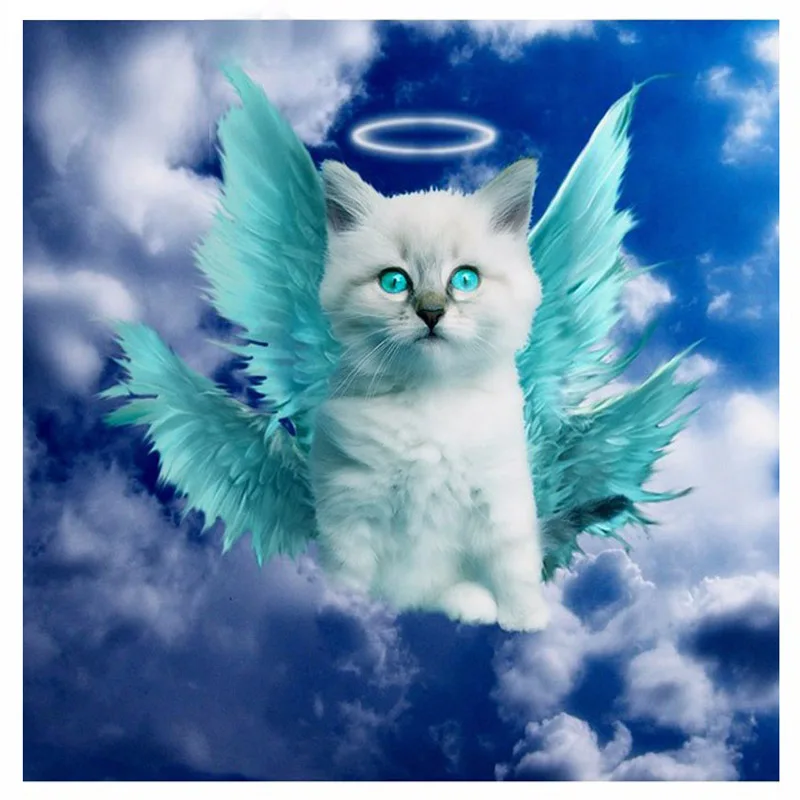5D DIY Diamond Painting Cat Full Square Diamond Embroidery Cross Stitch Angel Cat with Blue Eyes Needlework Home Decorative16827
5D DIY Diamond Painting Cat Full Square Diamond Embroidery Cross Stitch Angel Cat with Blue Eyes Needlework Home Decorative16827
