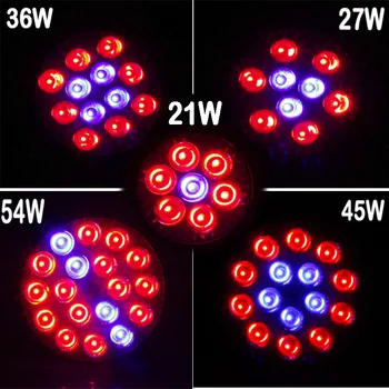 Full Spectrum E27 LED Grow Lights, led lamps Red & Blue, Flowers & Vegetables In The Greenhouse & Grow Tent spot light
Full Spectrum E27 LED Grow Lights, led lamps Red & Blue, Flowers & Vegetables In The Greenhouse & Grow Tent spot light