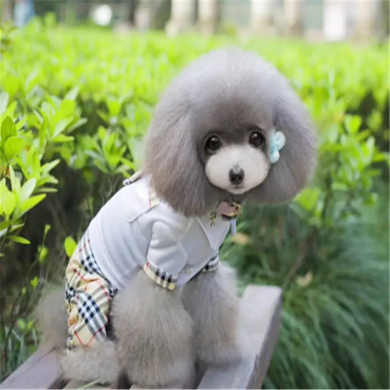 New 2019 Hot Sale Cotton Pet Cat Dog Student Pants Costume Warm Winter Dogs Clothes Hoodie Coat Cute Jumpsuit Four Leg Clothing
New 2019 Hot Sale Cotton Pet Cat Dog Student Pants Costume Warm Winter Dogs Clothes Hoodie Coat Cute Jumpsuit Four Leg Clothing