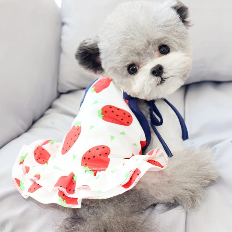 Print Cute Various Pet Puppy Small Dog Cat Pet Clothes Dress Lover Animal Boy Girl Shirt And Skirt Cotton For Small Chihuahua
Print Cute Various Pet Puppy Small Dog Cat Pet Clothes Dress Lover Animal Boy Girl Shirt And Skirt Cotton For Small Chihuahua