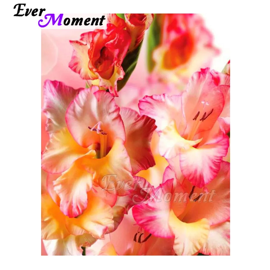 Ever Moment Diamond Painting Full Square Drill Mosaic Cross Stitch Pink Flower Picture Of Rhinestone Diamond Embroidery 3F1937
Ever Moment Diamond Painting Full Square Drill Mosaic Cross Stitch Pink Flower Picture Of Rhinestone Diamond Embroidery 3F1937