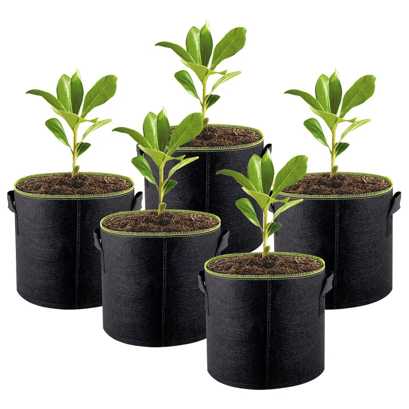 5pcs/lot 10 Gallon Plant Growing Bag Home Garden Strawberry Flowers Planting Grow Bags Potato Vegetable Pots Planters
5pcs/lot 10 Gallon Plant Growing Bag Home Garden Strawberry Flowers Planting Grow Bags Potato Vegetable Pots Planters