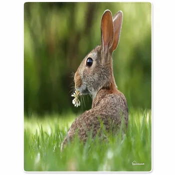 Blankets Comfort Warmth Soft Cozy Air conditioning Easy Care Machine Wash Bamboo funny Bunny eat flowers
Blankets Comfort Warmth Soft Cozy Air conditioning Easy Care Machine Wash Bamboo funny Bunny eat flowers