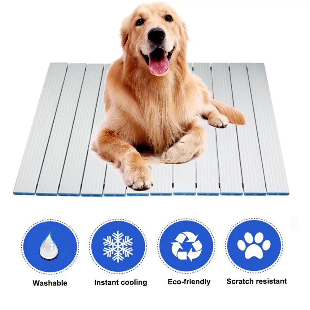 Dog Cooling Mat Pet Ice Pad Teddy Mattress Pet Cool Mat Bed Cat Cushion Summer Keep Cool Pet Gel Cooling Dog Mat For Dogs
Dog Cooling Mat Pet Ice Pad Teddy Mattress Pet Cool Mat Bed Cat Cushion Summer Keep Cool Pet Gel Cooling Dog Mat For Dogs