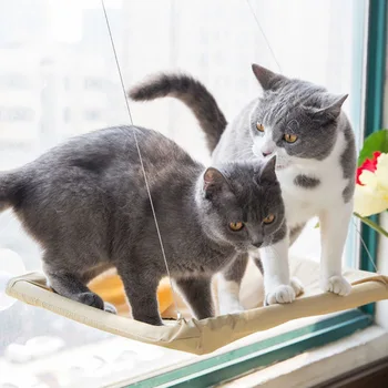 Cats Hammock Suction Window Wall Mounted Hanging Bed Kitten Resting Sunny Seat LBShipping
Cats Hammock Suction Window Wall Mounted Hanging Bed Kitten Resting Sunny Seat LBShipping