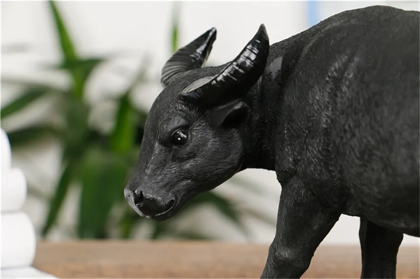 4271684396_1333881604