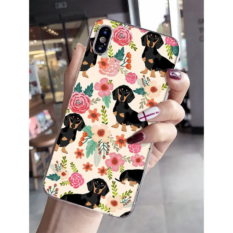 Cat Cartoon Cute Mouse Pig Cats Dog