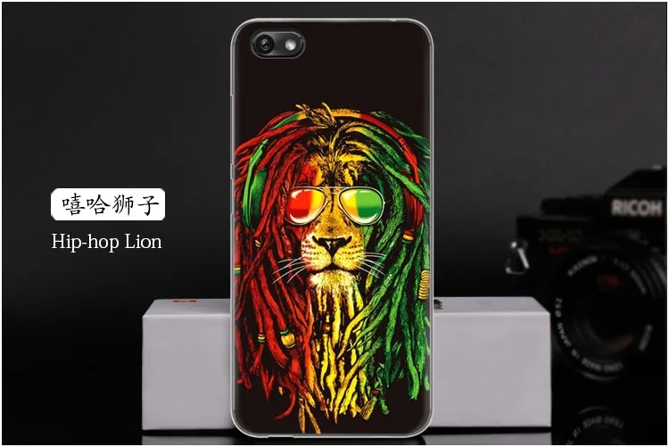 Hip-hop Lion