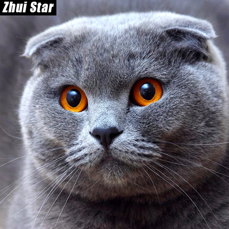 New Full Square Diamond 5D DIY Diamond Painting "Cute Cat" 3D Embroidery Cross Stitch Rhinestone Mosaic Painting Home Decor BK
New Full Square Diamond 5D DIY Diamond Painting "Cute Cat" 3D Embroidery Cross Stitch Rhinestone Mosaic Painting Home Decor BK