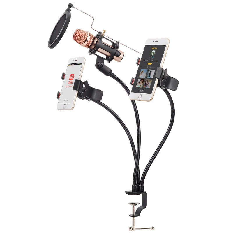 Microphone Holder Stand Stable Clip Bracket Wind Screen Pop Filter Swivel Mic Mount Phone Holder For Broadcast Karaoke
Microphone Holder Stand Stable Clip Bracket Wind Screen Pop Filter Swivel Mic Mount Phone Holder For Broadcast Karaoke