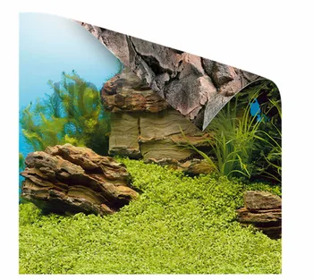JUWEL 1 piece fish tank background painting double sided aquarium background poster decoration fish tank wall silicone oil
JUWEL 1 piece fish tank background painting double sided aquarium background poster decoration fish tank wall silicone oil