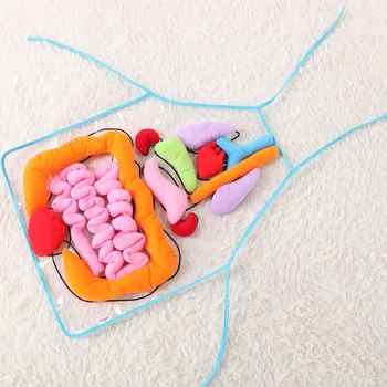 Educational Insights Toys for Children Anatomy Apron Human Body Organs Awareness Preschool Science Home School Teaching Aids
Educational Insights Toys for Children Anatomy Apron Human Body Organs Awareness Preschool Science Home School Teaching Aids