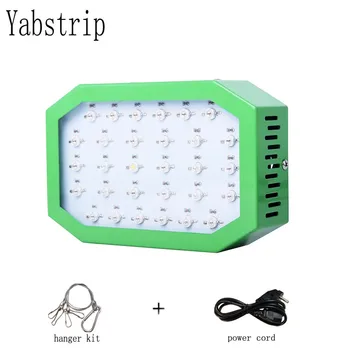Yabstrip 300W LED Grow Light double chip full spectrum plant lamp fitolampy for indoor tent seedling flower vegetable phyto lamp
Yabstrip 300W LED Grow Light double chip full spectrum plant lamp fitolampy for indoor tent seedling flower vegetable phyto lamp