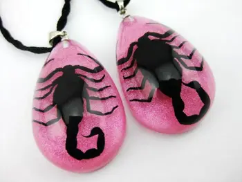 FREE SHIPPING 12 pcs charming jewelry real black scorpion pink bottom vogue pendant
FREE SHIPPING 12 pcs charming jewelry real black scorpion pink bottom vogue pendant