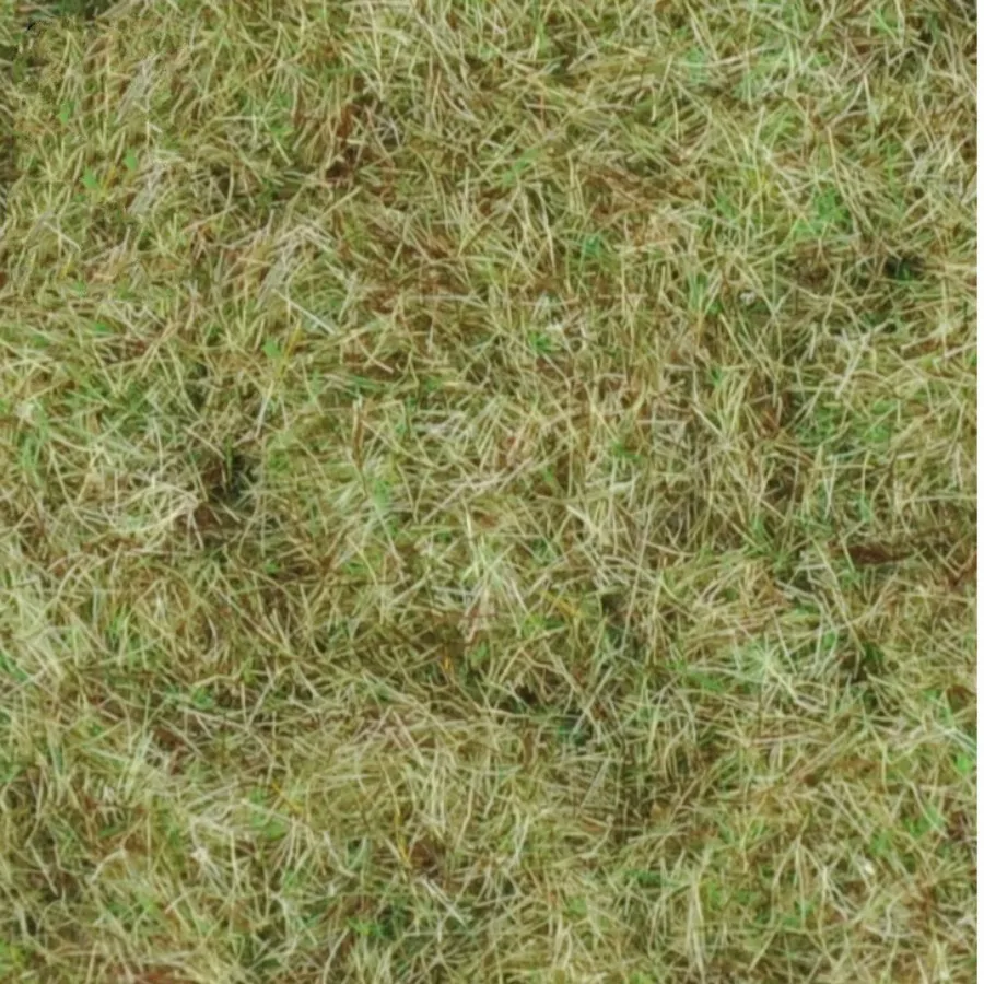 30g/lot Model scene sand table construction simulation grass grass needle DIY turf material natural grass powder
30g/lot Model scene sand table construction simulation grass grass needle DIY turf material natural grass powder