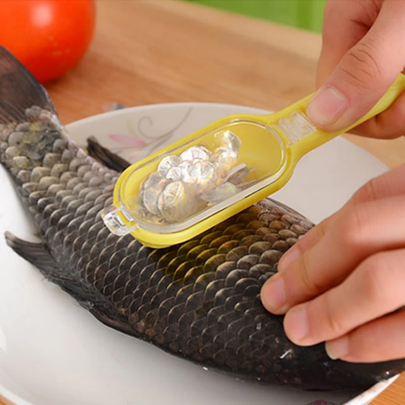 Practical Easy Fish Scaler CIQ Eco-Friendly Scraper Fish Brush Cleaning Tools Kitchen Gadgets Fish Scaler
Practical Easy Fish Scaler CIQ Eco-Friendly Scraper Fish Brush Cleaning Tools Kitchen Gadgets Fish Scaler